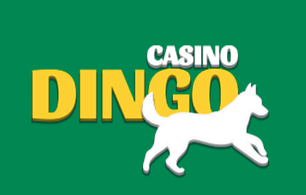 Casino Dingo